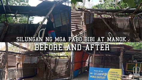 Silungan Ng Mga Pabo Bibi At Manok Before And After Kabackyard YouTube