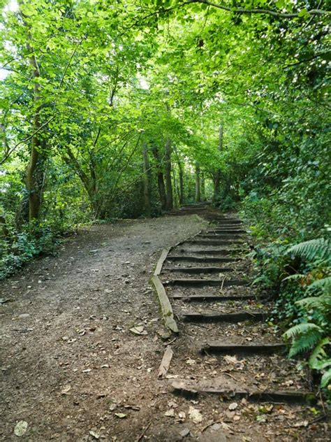 Steps Up Bryn Euryn Stephen Craven Cc By Sa Geograph Britain