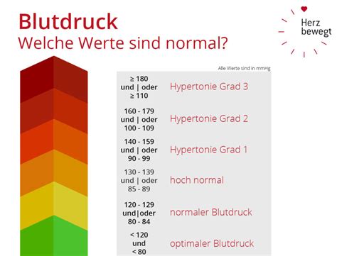 Leide Ich An Einem Zu Hohen Blutdruck I Herz Bewegt Informiert