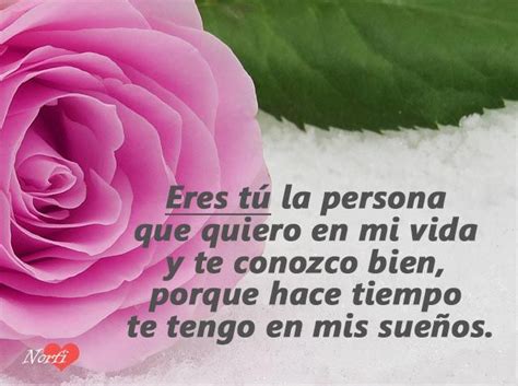 Frases De Amor Para Declararse A Una Chica O Mujer Frases De Cariño Pensamientos De Amor Frases