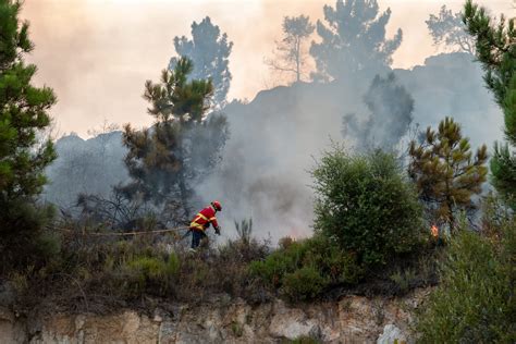 How Do I Claim My Dixie Fire Settlement Nadrich Cohen