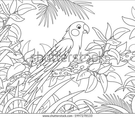 9,437 Bird Outline Of Parrot Images, Stock Photos & Vectors | Shutterstock