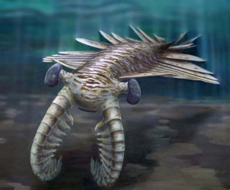 Paleozoic Era Animals