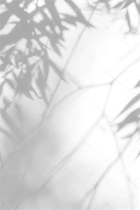 Gray Shadow Of The Leaves On A White Wall Stock Photo Aff Leaves