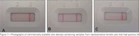 Figure 1 from Use of a commercially available relaxin test for ...