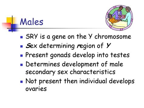 Chapter 15 Chromosomal Basis For Inheritance Ppt Download