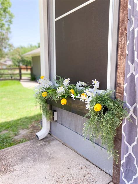 Window Planter Box Flowers | Best Flower Site