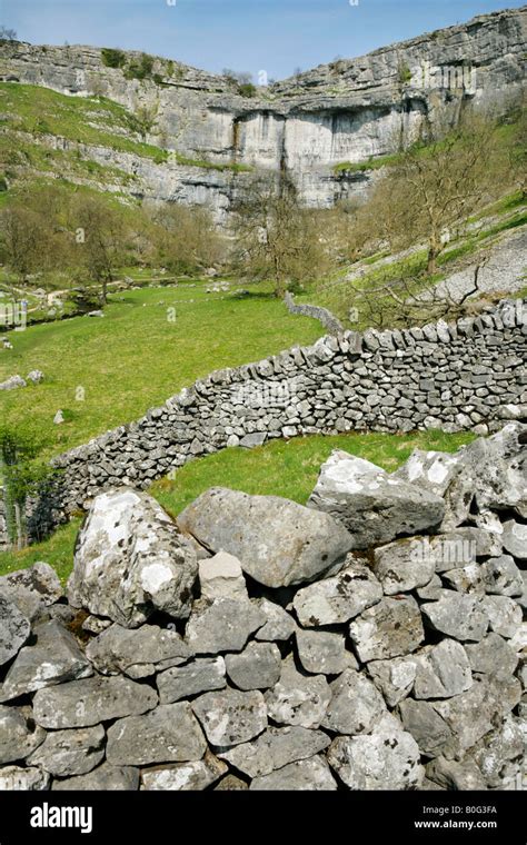 Malham Cove And Dry Stone Walls In Springtime Yorkshire Dales National