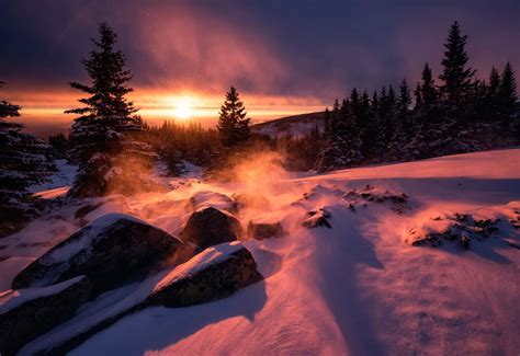 Download Winter Sun Illuminates A Snowy Landscape Wallpaper