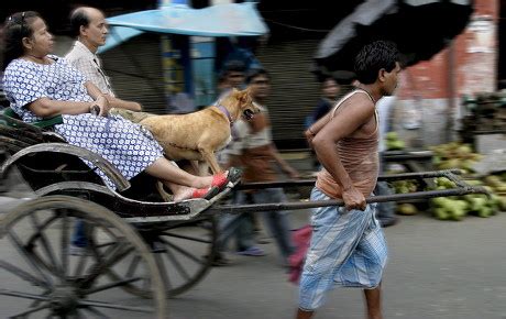 Rickshaw Puller Busy During His Working Editorial Stock Photo Stock