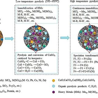 Heavy Metals Immobilization During Sewage Sludge And Monocalcium