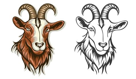 Goat face vector set 24246990 Vector Art at Vecteezy