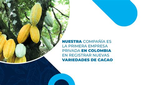 Nuestra Compa A Nacional De Chocolates Primera Empresa Privada En