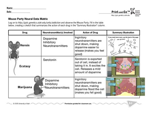 Mouseparty Student Assignment From Class About Types Of Drugs