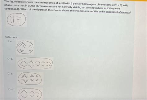 Solved The figure below shows the chromosomes of a cell with | Chegg.com