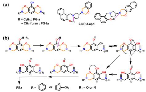 A Existence Of Polar Phenolic Oh In Benzoxazine Monomer Assisting Rop