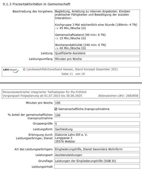 Landeswohlfahrtsverband Hessen Darstellung Von Leistungen Im Pit