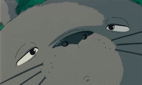 Omnia Anime Manga Tonari No Totoro Il Mio Vicino Totoro