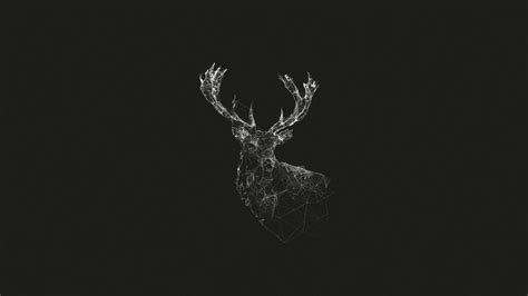 Deer Wallpapers - Wallpaper Cave