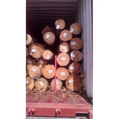 Feet Brown Round Pine Wood Logs At Rs Cubic Feet In Chennai