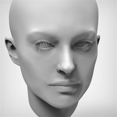 Beauty Female Head 3d Model 70 Ztl Obj Free3d