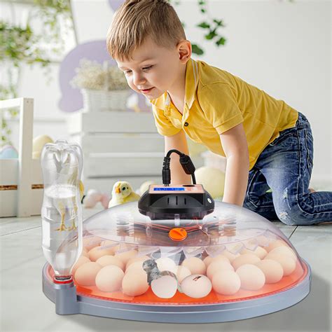 Vevor 48 Egg Incubator Incubators For Hatching Eggs 360° Automatic Egg Turner With Temperature