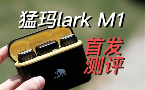 Lark M Bilibili