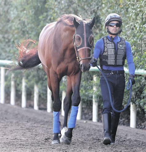 【菊花賞】枠順決まる モレイラ騎乗ダービー馬タスティエーラは4枠7番で皐月賞馬ソールオリエンスは7枠14番 22日発走：中日スポーツ・東京中日スポーツ