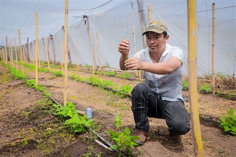 Agromercados permiten la dinamización de la economía familiar en El