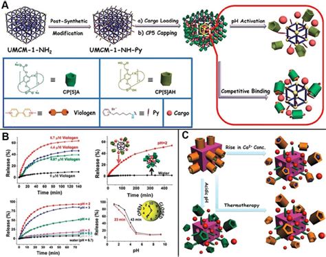 A Schematic Illustration Of Stimuli Responsive Nanocarriers Based On