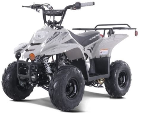 Tao Motor 110cc New Boulder 4 Stroke Engine Max 06gal Tank Atv Gas