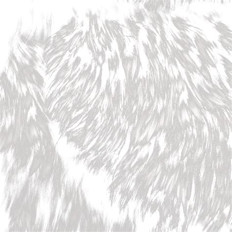 Fur Texture Png 586 Download