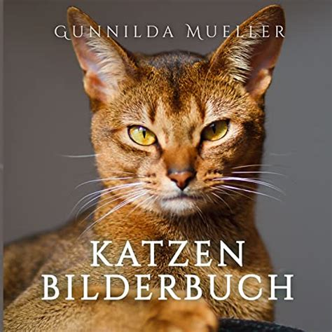 Katzen Bilderbuch Demenz Besch Ftigung F R Senioren Mit Demenzkranke