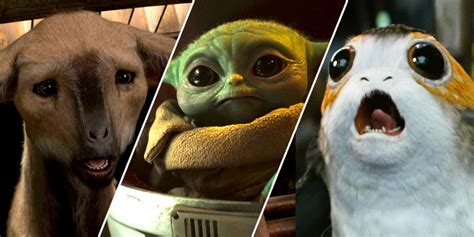 The Cutest Star Wars Characters Ranked