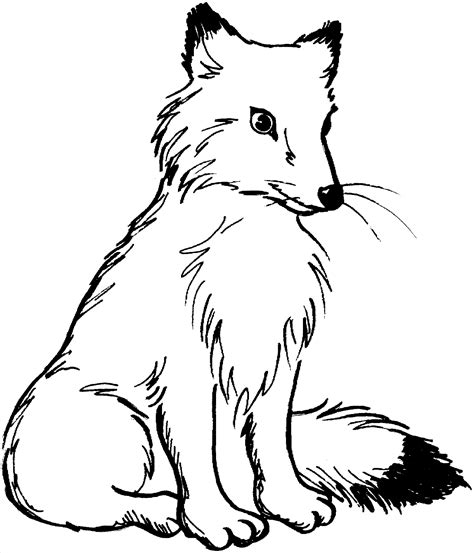 bild-malvorlage-fuchs-8.gif (1369×1600) | Fox coloring page, Puppy