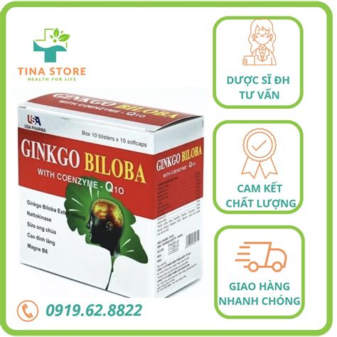 Active Blood Brain GINKGO BILOBA With Coenzyme Q10 USA Pharma 360mg