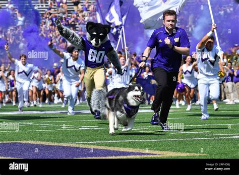 Seattle Wa Usa 02nd Sep 2023 The Washington Husky Mascot Dubs