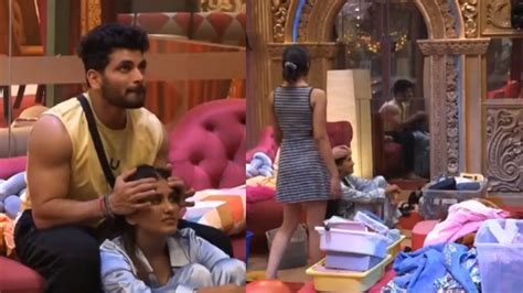 Bigg Boss 16 Live Sumbul क ऐस पयर Dress म दख Shiv Nimrit न