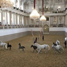 280 best Lippizaners images on Pinterest | Horse, Horses and Vienna