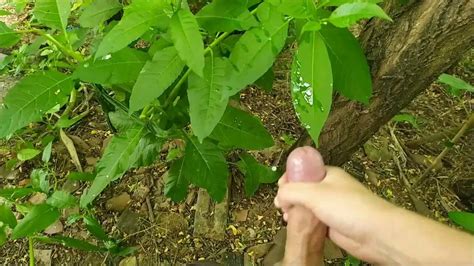 Cumming In The Forest Gay Man Porn XHamster