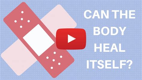 Can The Body Heal Itself Youtube