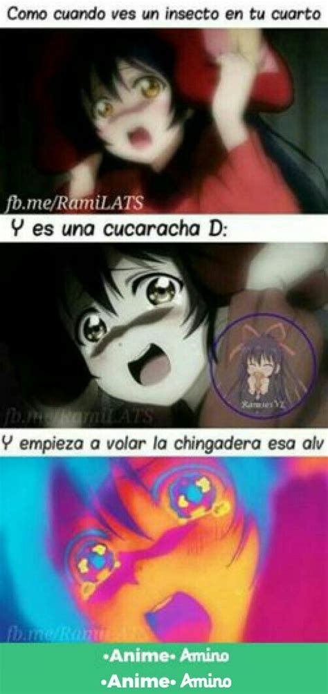 Pin en Guardado rápido en 2024 Memes divertidos Memes otakus