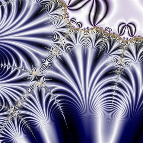 Fractal Plants Free Stock Photo Public Domain Pictures