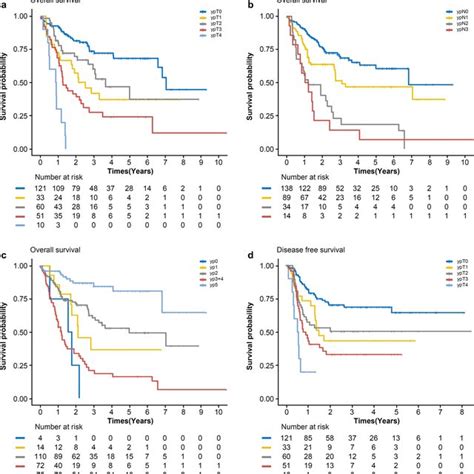 Overall Survival Curves According To ECOG Performance Status And