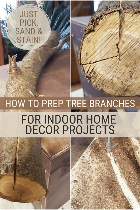 Tree Branch Projects