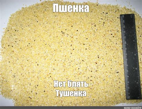 Создать мем "пшенка молотая, булгур, пшено сечка" - Картинки - Meme ...