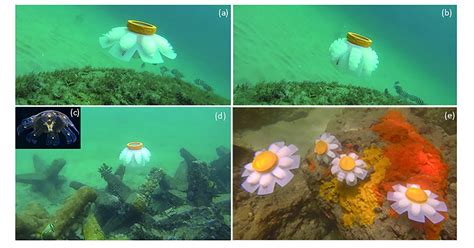 Scientists Create Efficient Biomimetic Ecological Underwater Robot