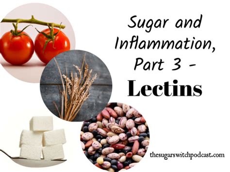 Sugar And Inflammation Part 3 Lectins Tssp065 The Sugar Switch Podcast