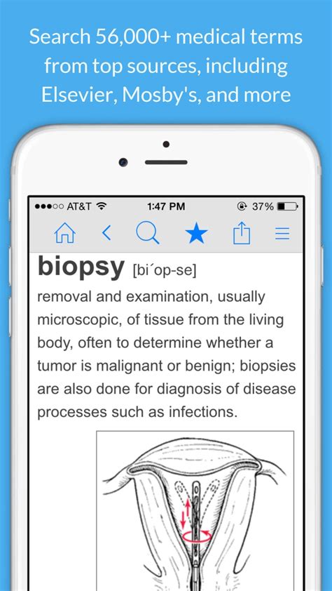 Iphone I In Nursing Dictionary By Farlex Ndir