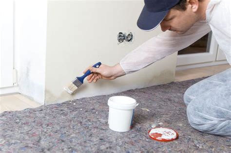 Mold- and Mildew-Resistant Paint: Does it Really Work?